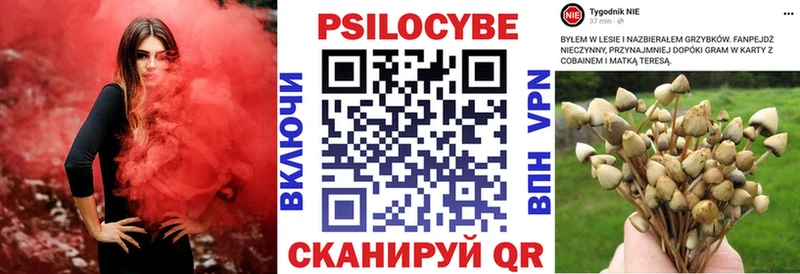 где можно купить Юрюзань Галлюциногенные грибы Psilocybine cubensis